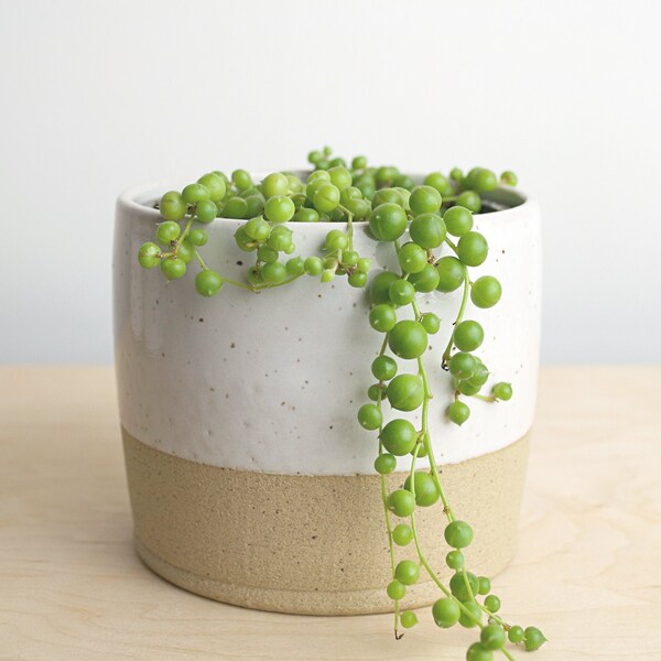 Speckled White Ceramic Planter - Decorative Planter - White Planter - 4 Inch Indoor Pot - Minimalist Planter - Modern Farmhouse Plant Pot