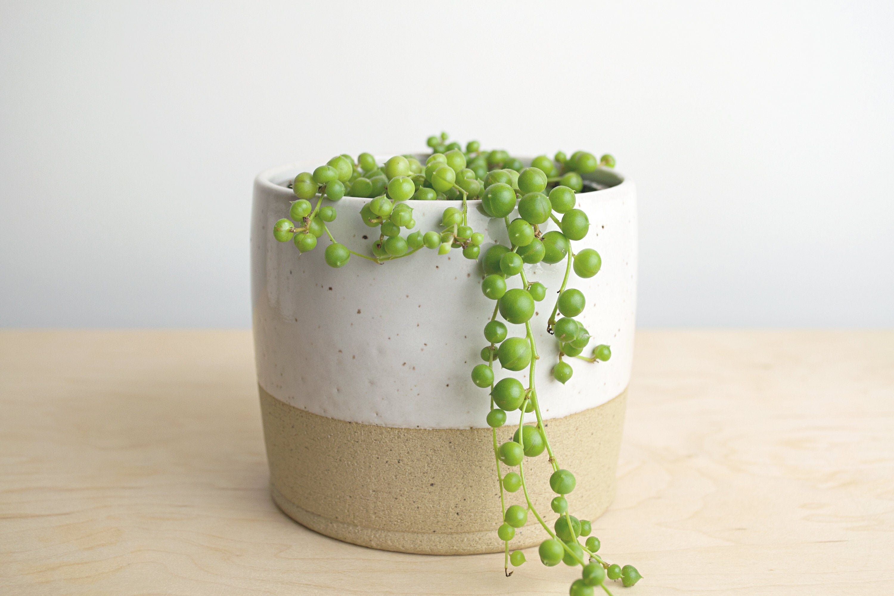 Speckled White Ceramic Planter - Decorative Planter - White Planter -…