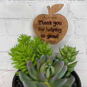 Marqueur de plante de professeur personnalisé, cadeau de professeur, marqueurs de plante, piquet de plante