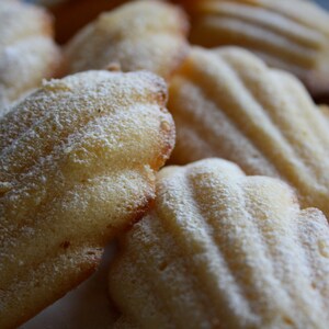 Madeleine 18 pcs with Orange Blossom Water or Lemon image 3