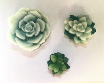Wax Melts (Succulents) - L, M, & Sm - Tea Tree Lemon Spearmint