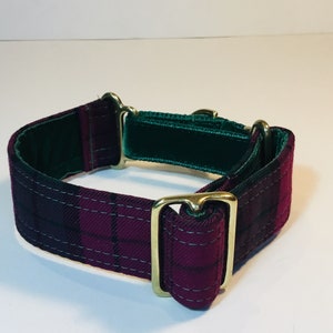 RUMOUR - Tartan Simple Adjust Martingale Collar in 1.5"/38mm and 2"/50mm with solid brass fittings, velvet and polypropylene webbing