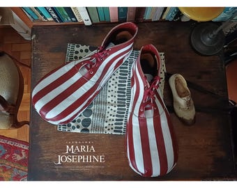 Zapatos de payaso - mod.102