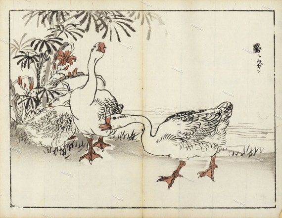 Kono Bairei woodblock print of Ducks Japanese Birds 1891 Fold out  Botanical Flowers Meiji Period