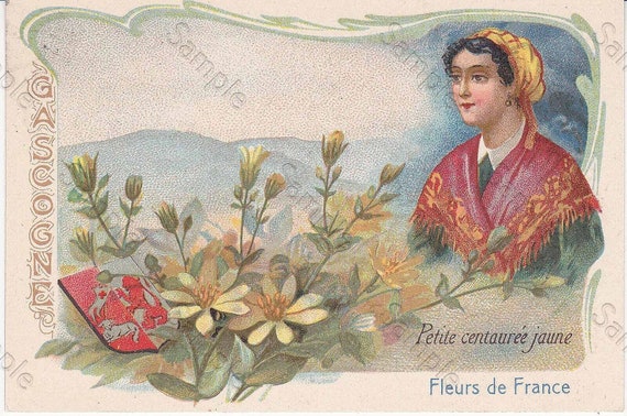 Rare antique Victorian Trade card chromo Flowers Petite Centaurée Yellow