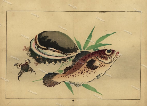 Japanese ocean life fish Antique Woodblock print