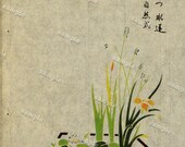 Flower arrangements Original Antique Japanese Hand colored woodblock Print vases original Mejii Period decorative art wall art
