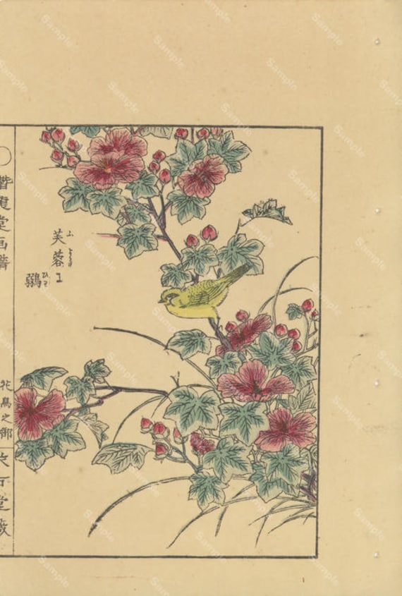 Japanese woodblock print Birds, Botanical flora