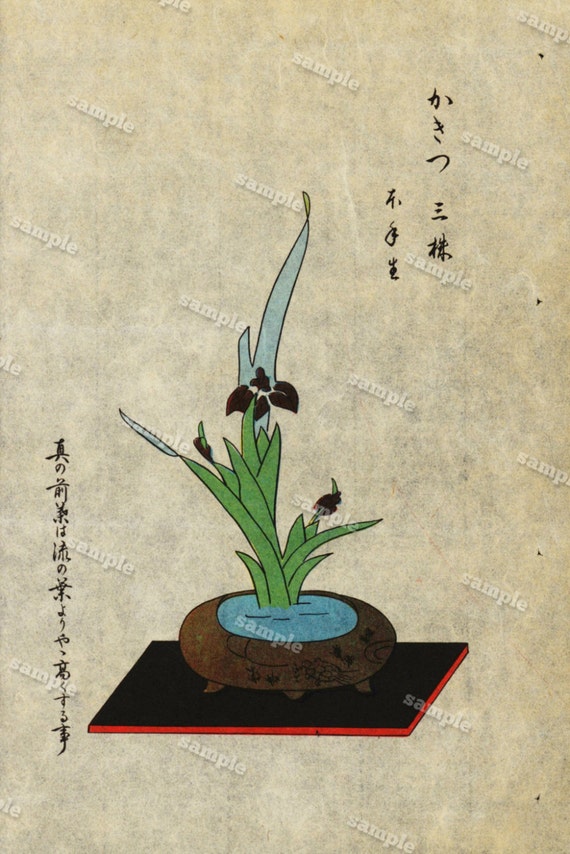 Flower Arrangements Original Antique Japanese Hand Colored Etsy
