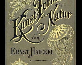 Kunstformen der Natur: Hundert Illustrationstafeln mit bechriebenden Text by Ernst Haeckel Circa 1904