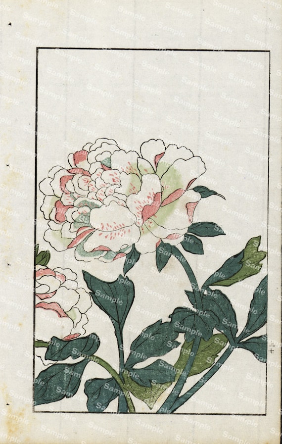 china visa photo tool
