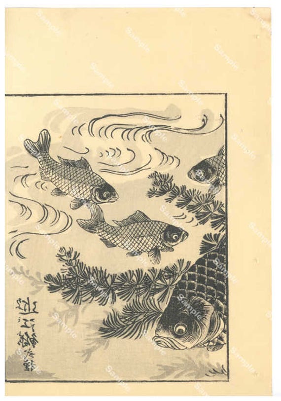 Japanese woodblock print Kōno Bairei (1844-189) Fish