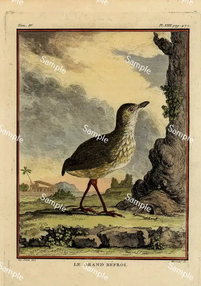 Rare large QUARTO edition hand colored engraving circa 1766 De Seve Le Grand Befroi