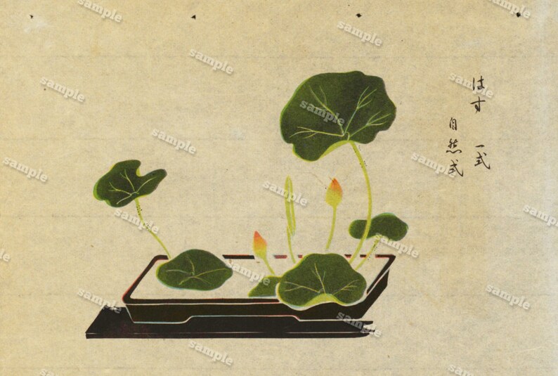Flower Arrangements Original Antique Japanese Hand Colored Etsy