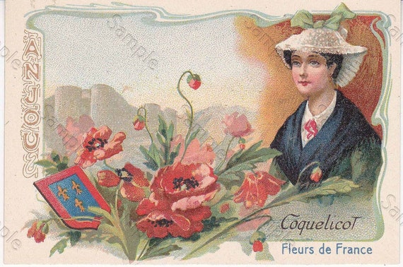 Rare antique Victorian Trade card chromo Flowers  Poppy