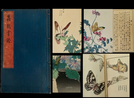 Antique Rare Japanese Woodblock insects Picture Book