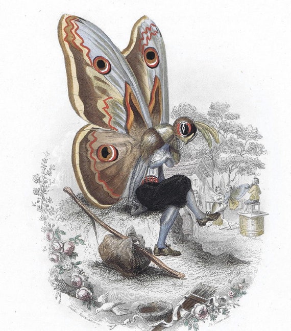 Original anthropomorphism 1852 Dysphania butterfly entomology butterfly Moth lithograph print Varin handcolor