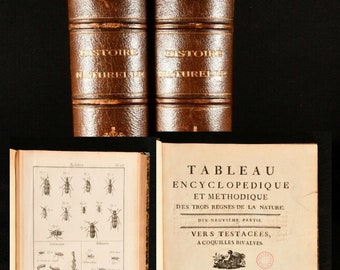 Circa 1797 tweedelige set Tableau Encyclopedique et Methodique Insectes Illustrated Scarce