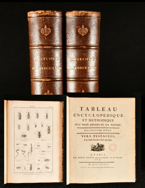 Circa 1797 two volume set of  Tableau Encyclopedique et Methodique Insectes Illustrated Scarce