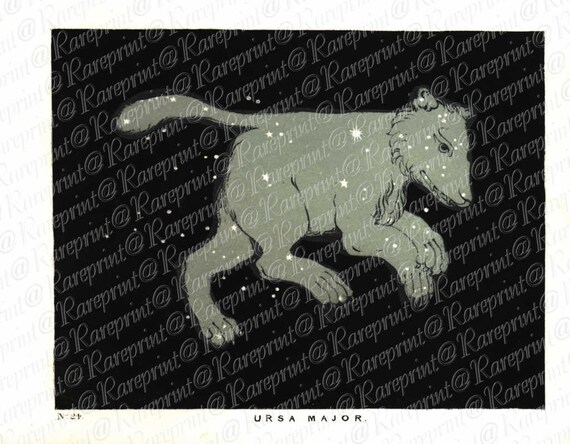 Antique Original Astronomy Engraving  Ursa Major  From The Beauty of the Heavens 1845  Very Rare - Constellations- Stars