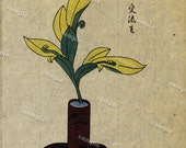 Flower arrangements Original Antique Japanese Hand colored woodblock Print vases original Mejii Period decorative art wall art