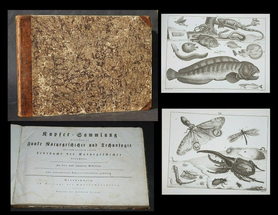 NATURAL HISTORY & technology, Zoology including 24 copper engravings plates circa 1790