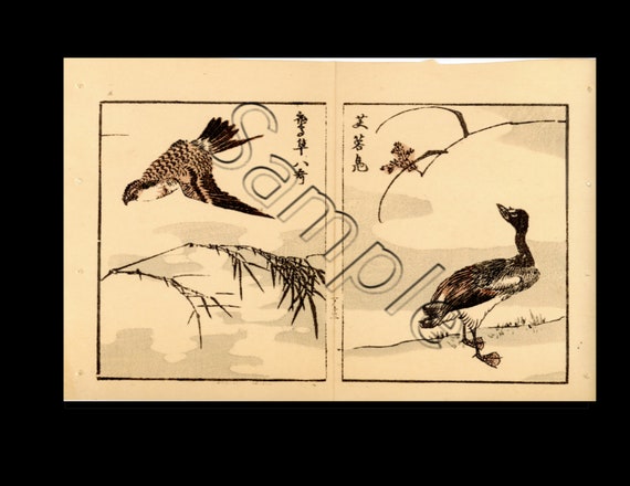 Japanese ukiyoe sketch Woodblock print birds 9
