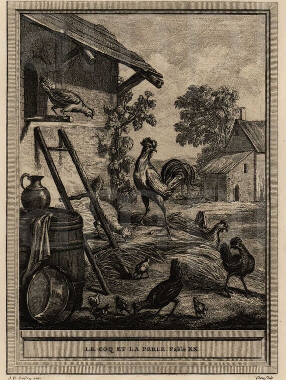 Original Antique Engraving  Le Coq Et La Perle  Brids Chicken  Roosters Folio
