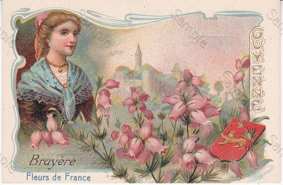 Rare antique Victorian Trade card chromo Flowers Heather