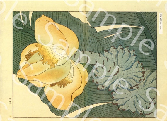 Vintage Japanese woodblock Flowers woodblock Botanical flower print