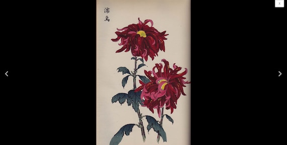 Original Antique Japanese Woodblock Print Book Chrysanthemum Flowers - Showa period