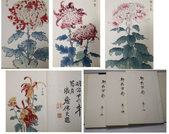 Vintage Japanese Woodblock Books Chrysanthemum Flowers  Showa period  second Edition Three Books Lavishly  illustrated