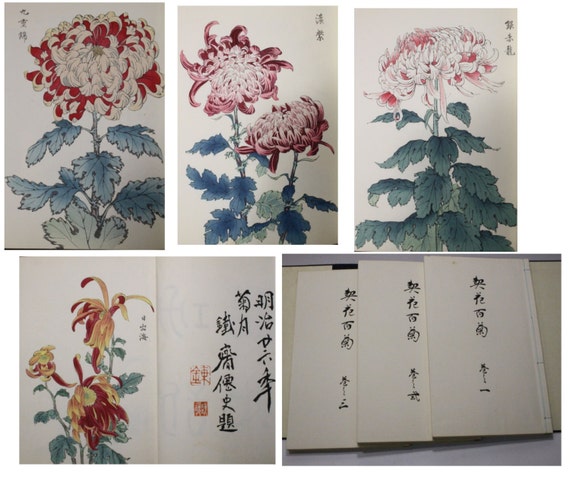 Vintage Japanese Woodblock Books Chrysanthemum Flowers  Showa period  second Edition Three Books Lavishly  illustrated