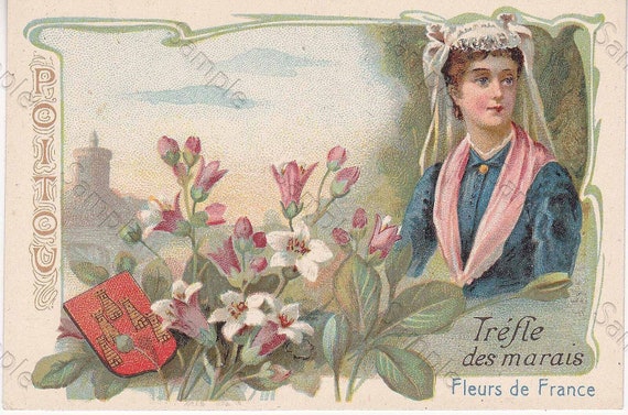 Rare antique Victorian Trade card chromo Flowers Clover des Marais