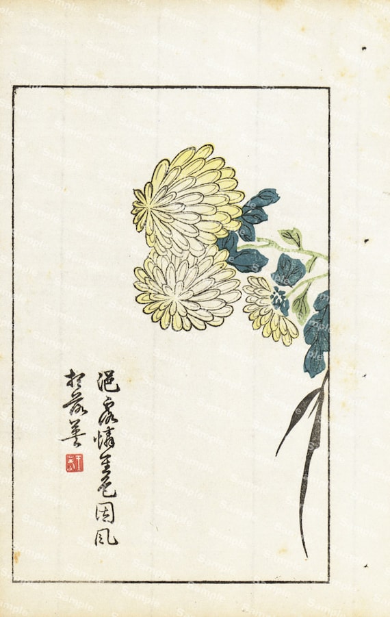 Chinese woodblock painting Botanical flowers