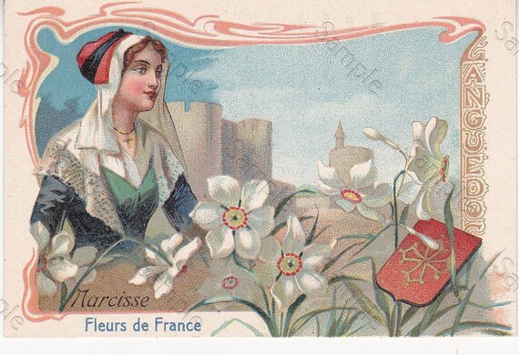Rare antique Victorian Trade card chromo Flowers Narcissus