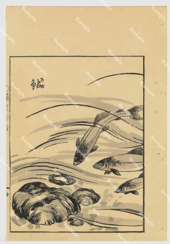 Japanese woodblock print,Kōno Bairei (1844-189) Fish Print