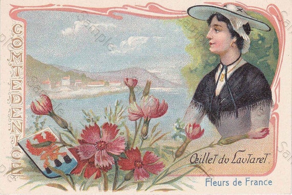 Rare  Victorian Trade Flowers Oeillet du Lautaret