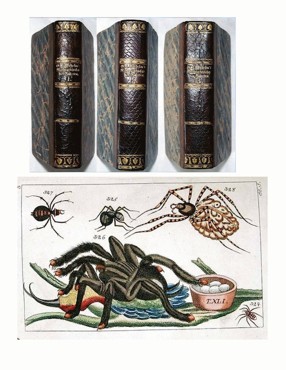 1832 Rare Set contains 150 Hand Colored Plates, Hard to find complete section on Insects, Arachnid and Crustaceans