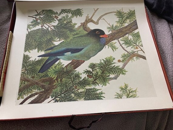 Japanese Antique Original Large Colored Lithograph Print | Etsy
