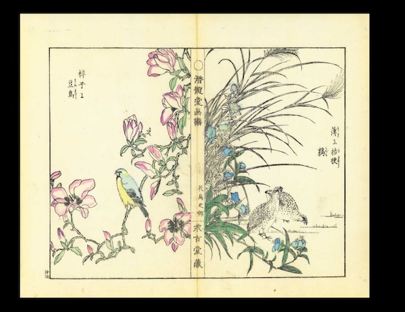 Japanese woodblock print Birds, Botanical flora