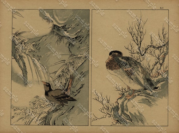 Original Antique Japanese Birds  Print dated 1888 Hokusai Art Large folio size -