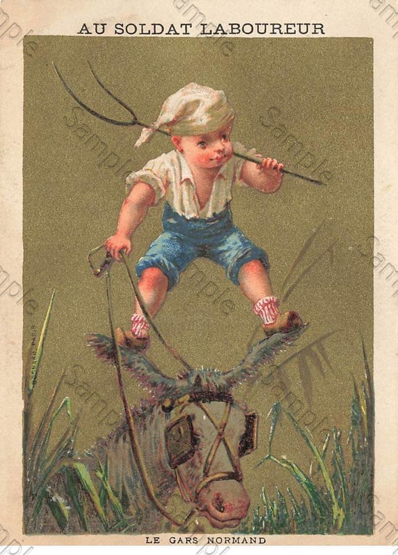 Rare  Victorian Trade card Boy head of horse 2