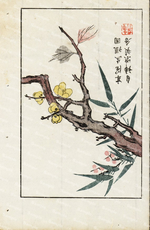 19th Century Chinese woodblock painting Botanical flowers