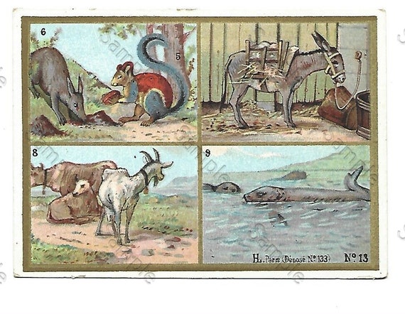 Rare  Victorian Trade card Animals