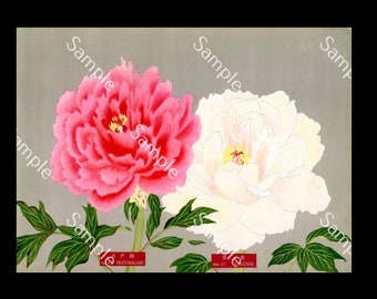 Japanische botanische Blume Paeonia suffruticosa botanischer Lithographie-Druck Circa 1936