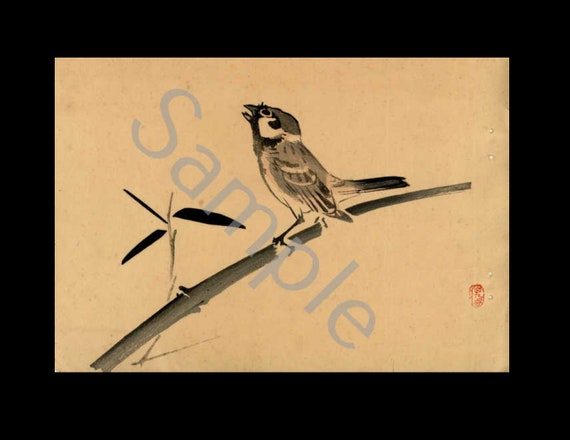 Antique rare Japanese  Woodblock Print Bird on a branch
