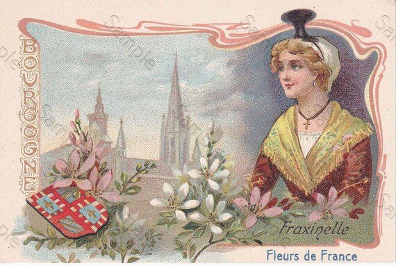 Rare antique Victorian Trade card chromo Flowers  Fraxinelle blazon