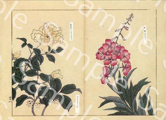 Vintage Japanese woodblock  Botanical flower print