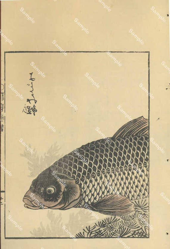 Japanese woodblock print, Kōno Bairei (1844-1895), Fish print